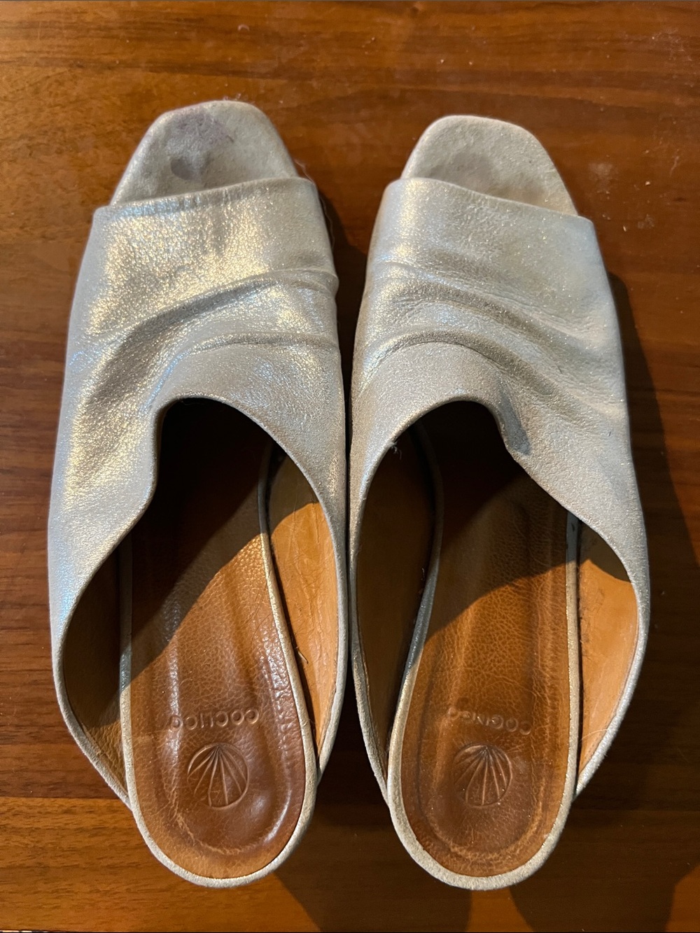 Colclico Metallic Silver Slide Sandals - Women